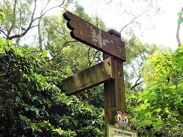 《台北市》幽靜的虎山溪步道~虎山環狀步道2， 半日漫慢遊(更