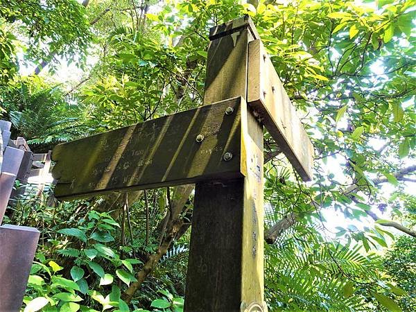 《台北市》幽靜的虎山溪步道~虎山環狀步道2， 半日漫慢遊(更