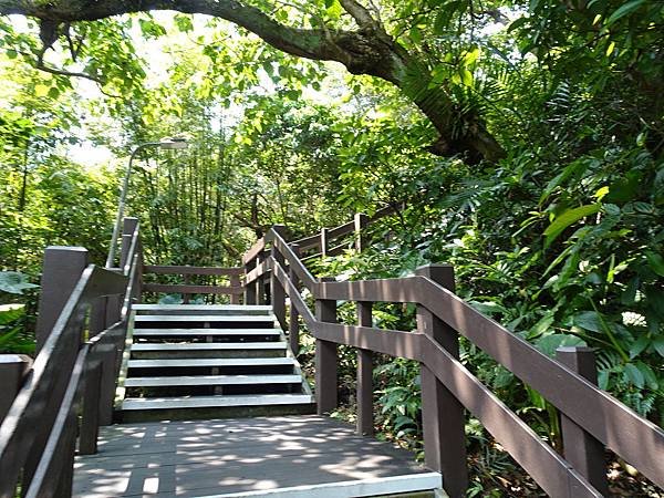 《台北市》幽靜的虎山溪步道~虎山環狀步道2， 半日漫慢遊(更