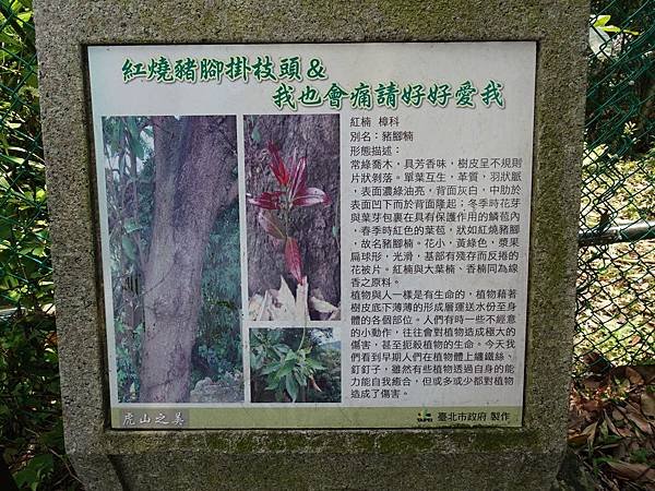 《台北市》幽靜的虎山溪步道~虎山環狀步道2， 半日漫慢遊(更