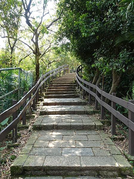 《台北市》幽靜的虎山溪步道~虎山環狀步道2， 半日漫慢遊(更