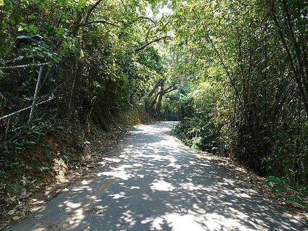 《台北市》幽靜的虎山溪步道~虎山環狀步道2， 半日漫慢遊(更