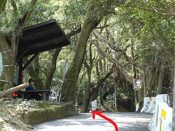 《台北市》幽靜的虎山溪步道~虎山環狀步道2， 半日漫慢遊(更