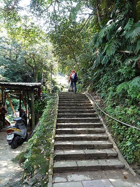 《台北市》幽靜的虎山溪步道~虎山環狀步道2， 半日漫慢遊(更