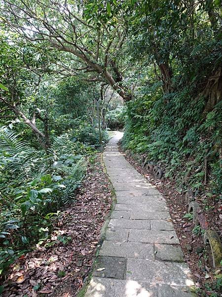 《台北市》幽靜的虎山溪步道~虎山環狀步道2， 半日漫慢遊(更