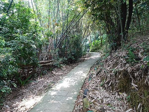 《台北市》幽靜的虎山溪步道~虎山環狀步道2， 半日漫慢遊(更