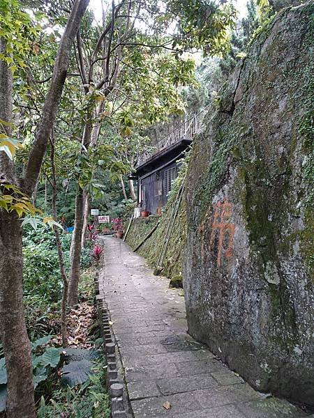 《台北市》幽靜的虎山溪步道~虎山環狀步道2， 半日漫慢遊(更