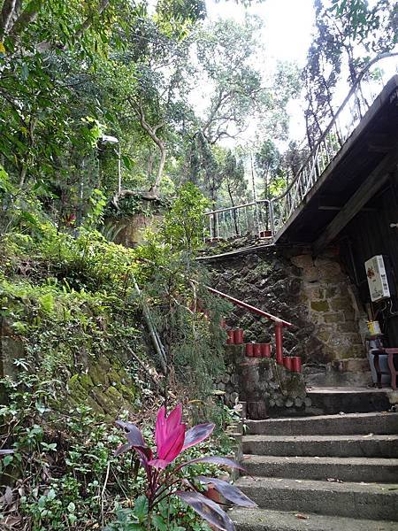 《台北市》幽靜的虎山溪步道~虎山環狀步道2， 半日漫慢遊(更