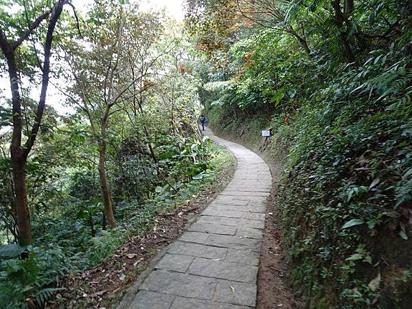 《台北市》幽靜的虎山溪步道~虎山環狀步道2， 半日漫慢遊(更