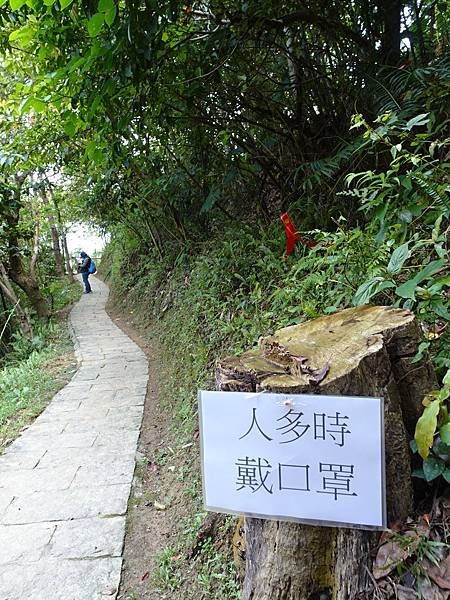 《台北市》幽靜的虎山溪步道~虎山環狀步道2， 半日漫慢遊(更