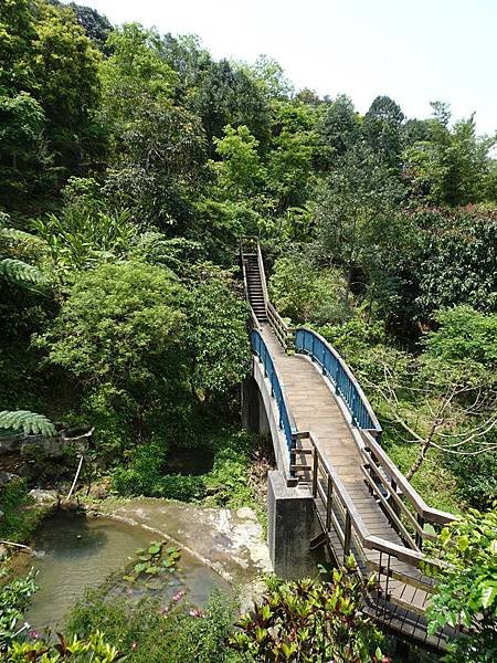 《台北市》幽靜的虎山溪步道~虎山環狀步道2， 半日漫慢遊(更