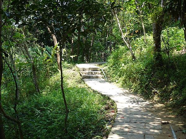 《台北市》幽靜的虎山溪步道~虎山環狀步道2， 半日漫慢遊(更