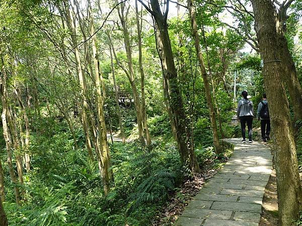 《台北市》幽靜的虎山溪步道~虎山環狀步道2， 半日漫慢遊(更