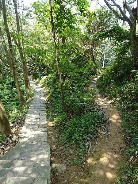 《台北市》幽靜的虎山溪步道~虎山環狀步道2， 半日漫慢遊(更