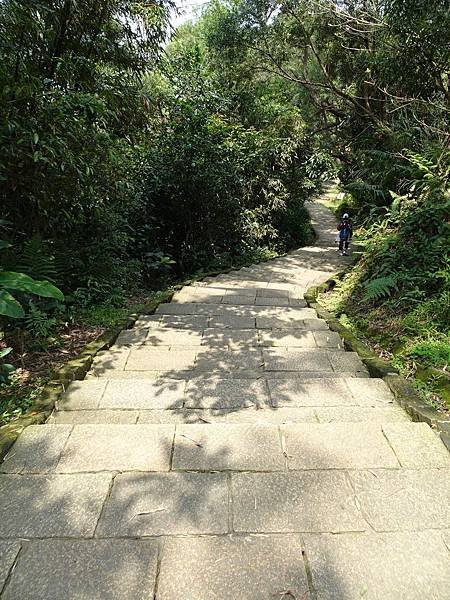 《台北市》幽靜的虎山溪步道~虎山環狀步道2， 半日漫慢遊(更