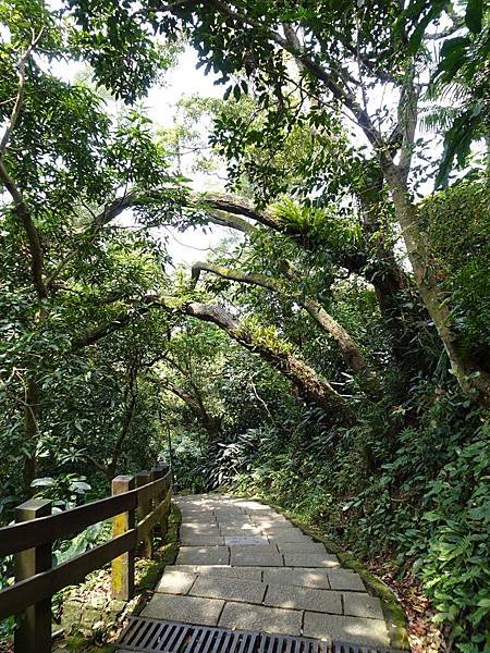 《台北市》幽靜的虎山溪步道~虎山環狀步道2， 半日漫慢遊(更