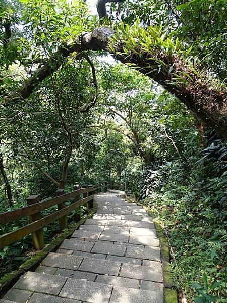 《台北市》幽靜的虎山溪步道~虎山環狀步道2， 半日漫慢遊(更