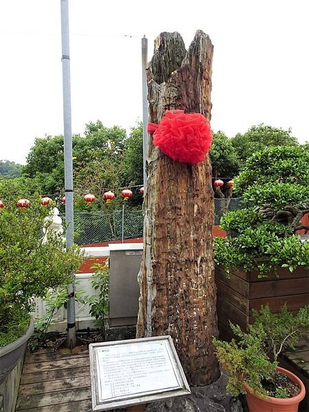 《台北市》幽靜的虎山溪步道~虎山環狀步道2， 半日漫慢遊(更