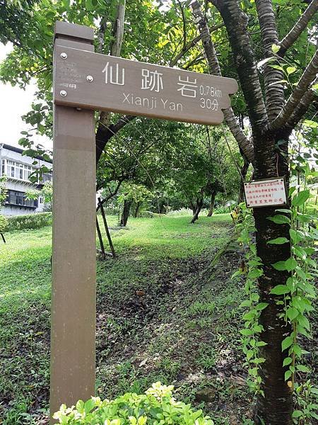 《台北市》文山區~仙跡岩(麥田支線來回)近郊好走的步道