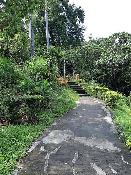 《台北市》文山區~仙跡岩(麥田支線來回)近郊好走的步道