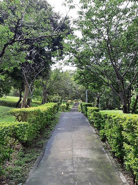 《台北市》文山區~仙跡岩(麥田支線來回)近郊好走的步道