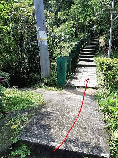 《台北市》文山區~仙跡岩(麥田支線來回)近郊好走的步道