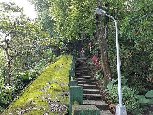 《台北市》文山區~仙跡岩(麥田支線來回)近郊好走的步道