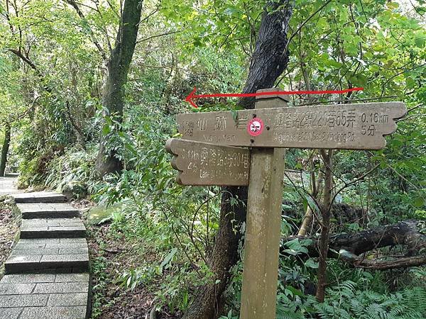 《台北市》文山區~仙跡岩(麥田支線來回)近郊好走的步道