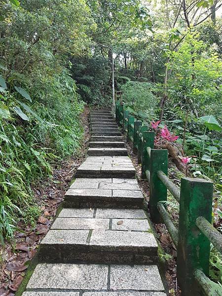 《台北市》文山區~仙跡岩(麥田支線來回)近郊好走的步道