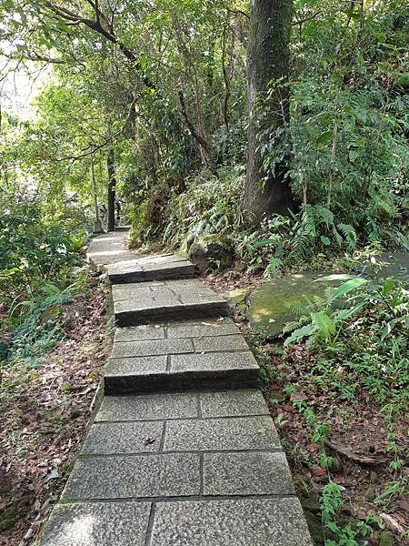 《台北市》文山區~仙跡岩(麥田支線來回)近郊好走的步道