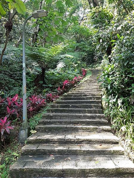 《台北市》文山區~仙跡岩(麥田支線來回)近郊好走的步道