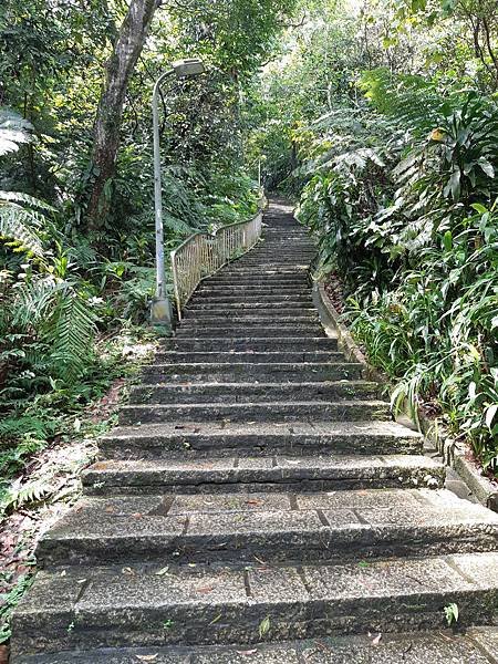 《台北市》文山區~仙跡岩(麥田支線來回)近郊好走的步道