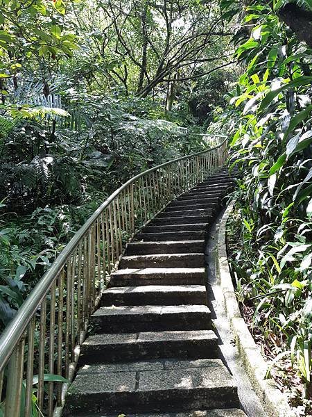 《台北市》文山區~仙跡岩(麥田支線來回)近郊好走的步道