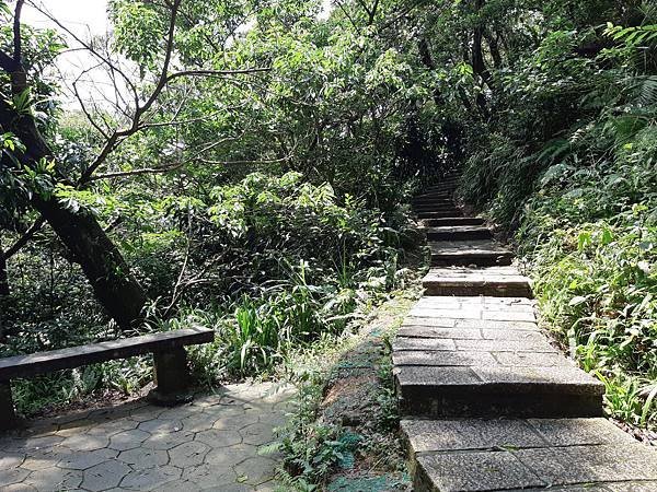 《台北市》文山區~仙跡岩(麥田支線來回)近郊好走的步道