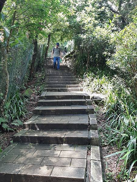 《台北市》文山區~仙跡岩(麥田支線來回)近郊好走的步道