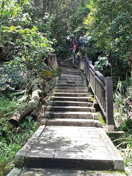 《台北市》文山區~仙跡岩(麥田支線來回)近郊好走的步道