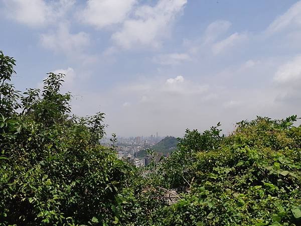 《台北市》文山區~仙跡岩(麥田支線來回)近郊好走的步道