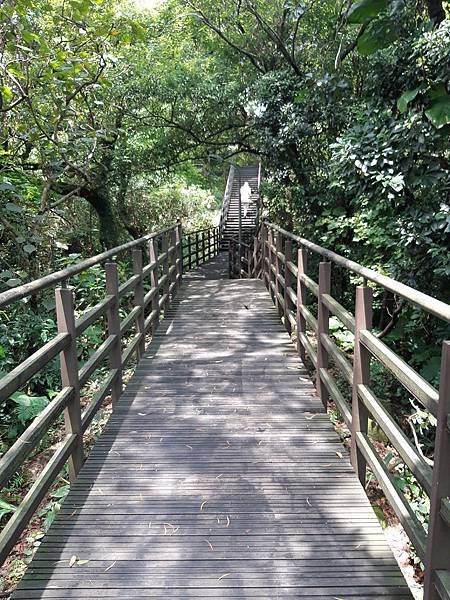 《台北市》文山區~仙跡岩(麥田支線來回)近郊好走的步道