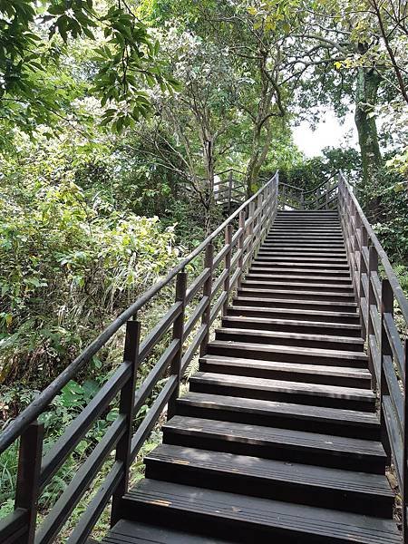 《台北市》文山區~仙跡岩(麥田支線來回)近郊好走的步道