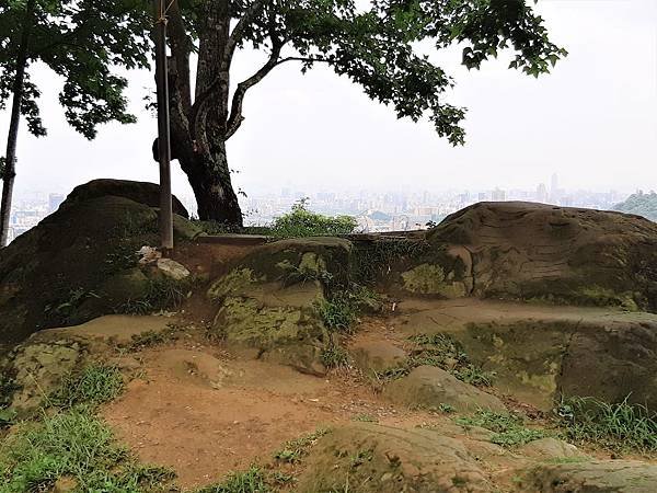 《台北市》文山區~仙跡岩(麥田支線來回)近郊好走的步道