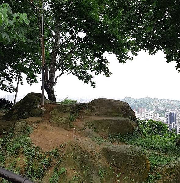 《台北市》文山區~仙跡岩(麥田支線來回)近郊好走的步道