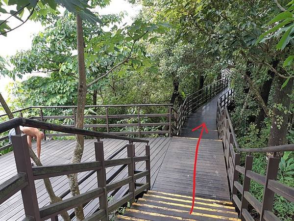 《台北市》文山區~仙跡岩(麥田支線來回)近郊好走的步道