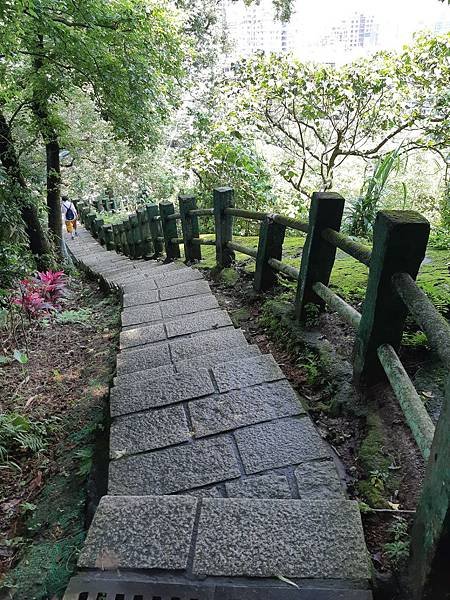 《台北市》文山區~仙跡岩(麥田支線來回)近郊好走的步道