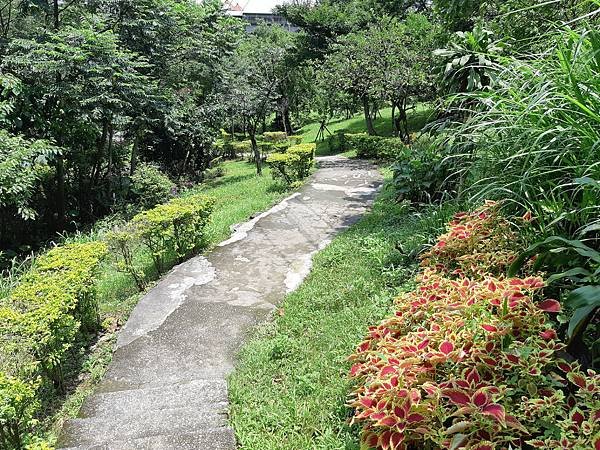 《台北市》文山區~仙跡岩(麥田支線來回)近郊好走的步道