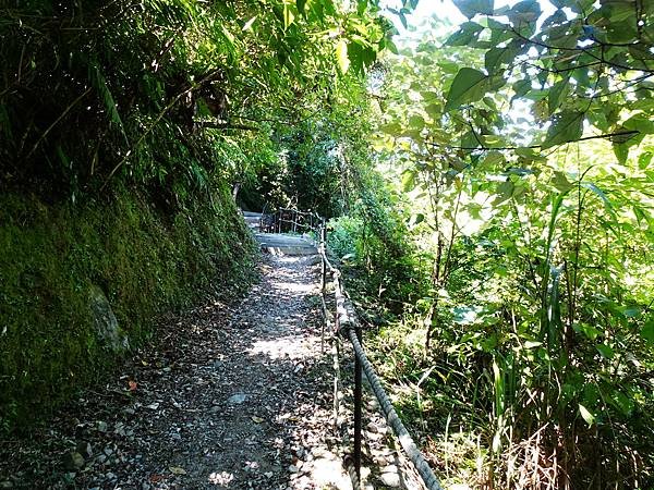 《新北烏來》內洞國家森林遊樂區~ 3條步道，順時鐘走法較不累