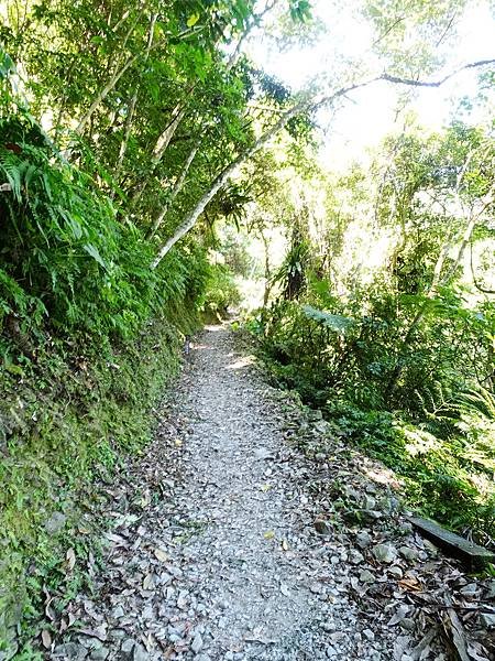 《新北烏來》內洞國家森林遊樂區~ 3條步道，順時鐘走法較不累