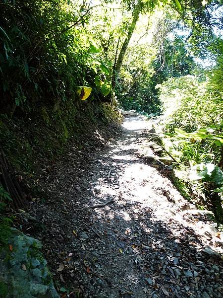 《新北烏來》內洞國家森林遊樂區~ 3條步道，順時鐘走法較不累