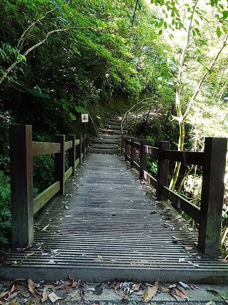 《新北烏來》內洞國家森林遊樂區~ 3條步道，順時鐘走法較不累