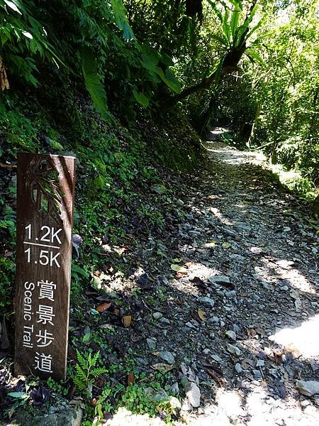 《新北烏來》內洞國家森林遊樂區~ 3條步道，順時鐘走法較不累