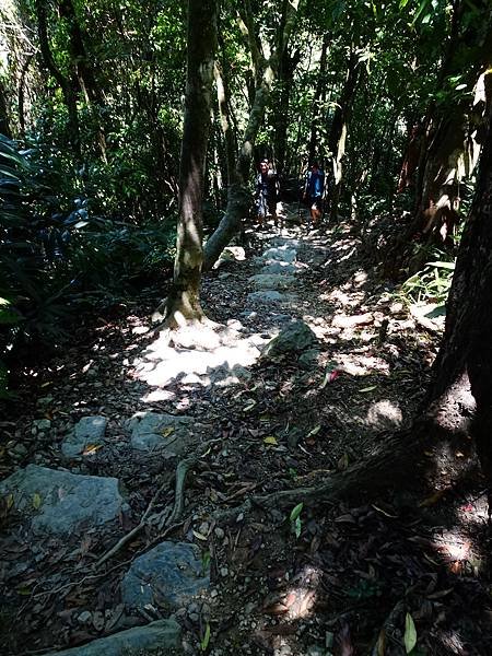 《新北烏來》內洞國家森林遊樂區~ 3條步道，順時鐘走法較不累